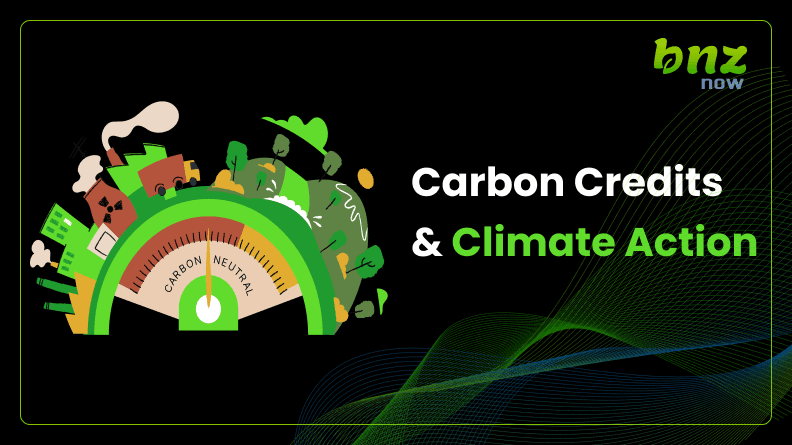 Image for Carbon Credits & Climate Action