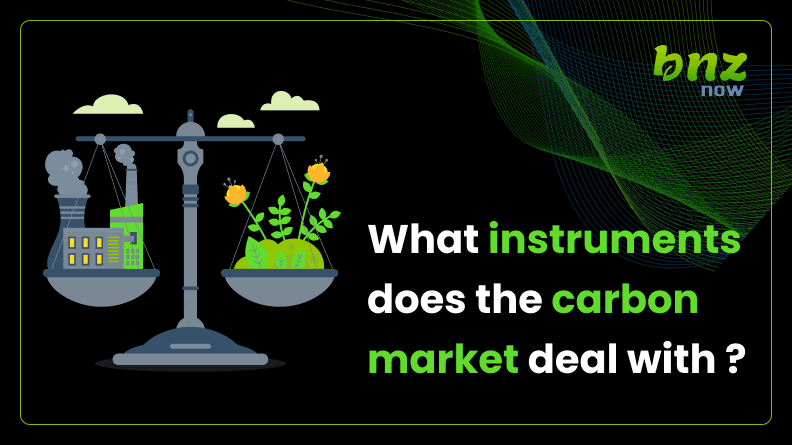 Image for What Instruments Does The Carbon Market Deal With